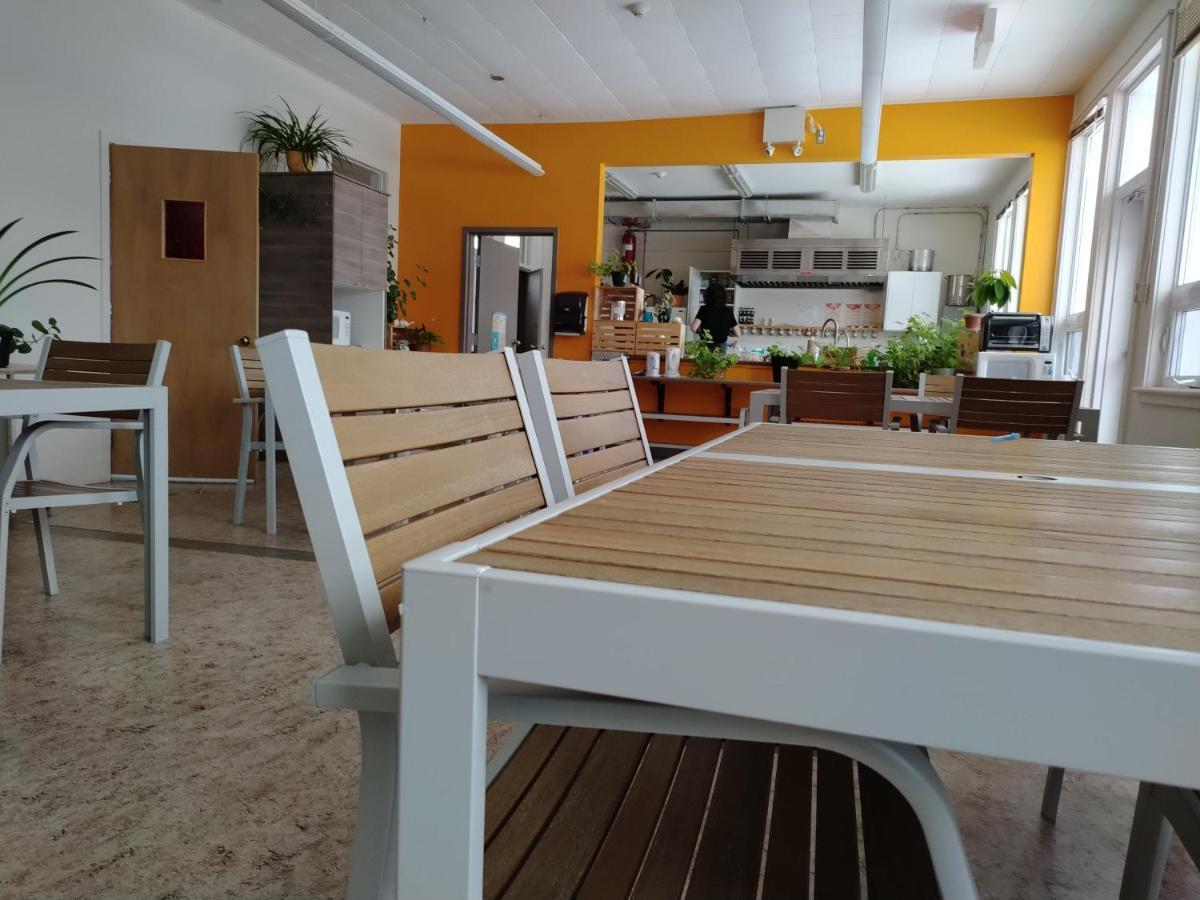 Auberge La Petite École de Forillon Gaspé Extérieur photo